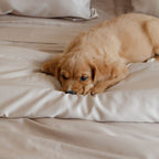 Latte Bamboo Quilt Cover