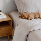 Latte Bamboo Quilt Cover